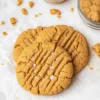 Peanut Butter Powder Cookies