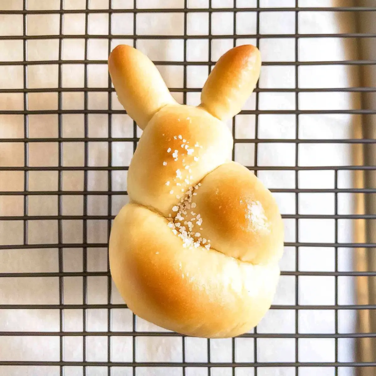 87f440c7 7418 45e2 bb6d