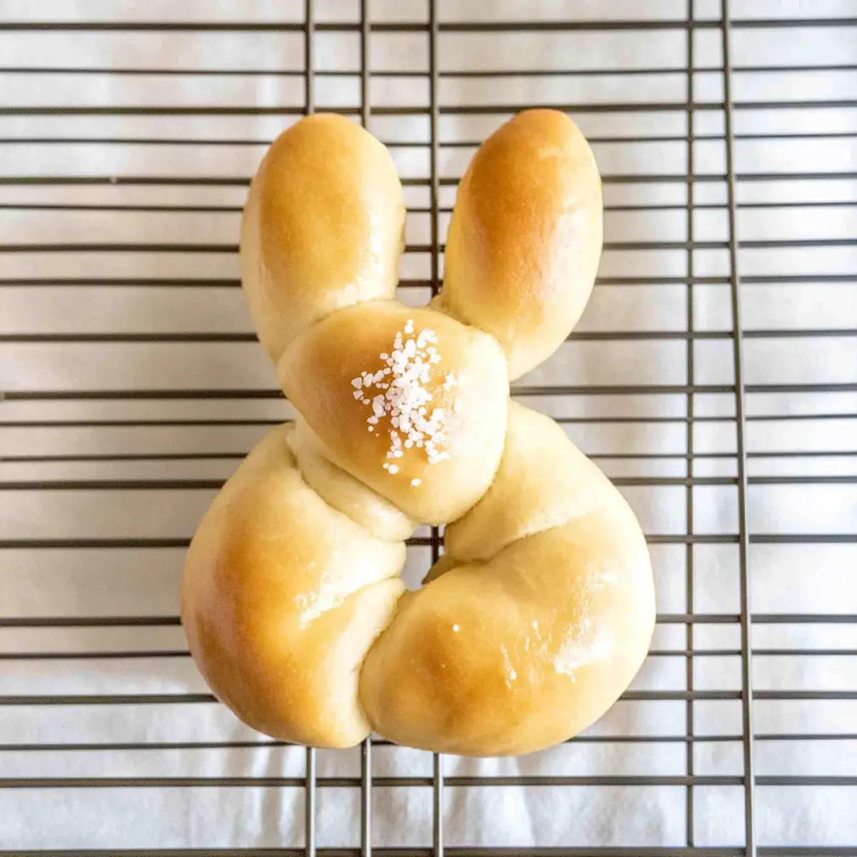 87f440c7 7418 45e2 bb6d 80462f909974 4 kbvoih